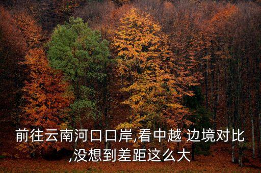 前往云南河口口岸,看中越 邊境對比,沒想到差距這么大