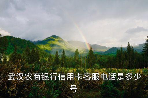  武漢農(nóng)商銀行信用卡客服電話是多少號