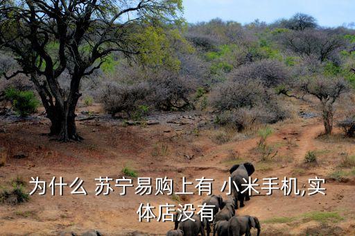 為什么 蘇寧易購(gòu)上有 小米手機(jī),實(shí)體店沒有