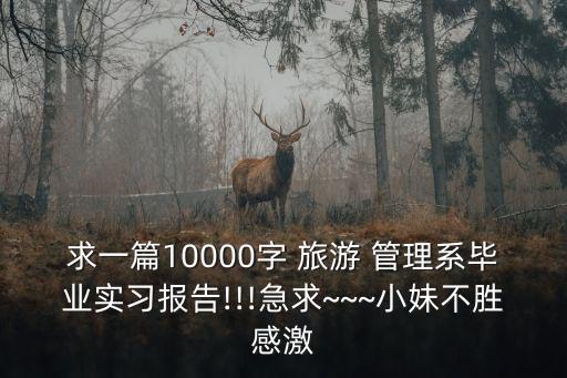 個(gè)人對旅游管理公司的意見和建議,對旅游管理專業(yè)的建議和意見