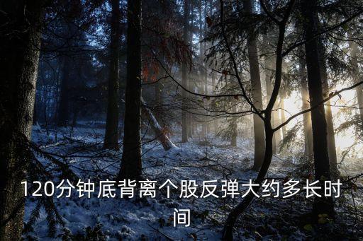 120分鐘底背離個(gè)股反彈大約多長時(shí)間