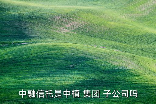 恒邦集團子公司,恒邦天府集團