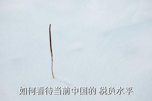 如何看待當(dāng)前中國的 稅負(fù)水平