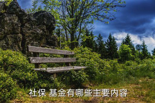社?；鹜顿Y運(yùn)營的原則,美國社保基金投資運(yùn)營現(xiàn)狀