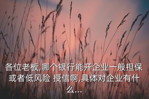 各位老板,哪個銀行能開企業(yè)一般擔?；蛘叩惋L險 授信啊,具體對企業(yè)有什么...