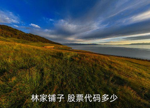 林家鋪子 股票代碼多少
