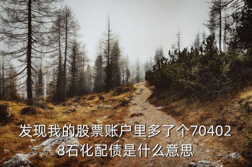 中國石油化工債券代碼,湖南石油化工職業(yè)技術(shù)學(xué)院代碼