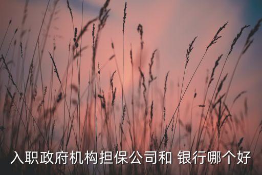 入職政府機構擔保公司和 銀行哪個好