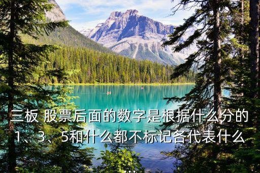 三板 股票后面的數(shù)字是根據(jù)什么分的1、3、5和什么都不標(biāo)記各代表什么...