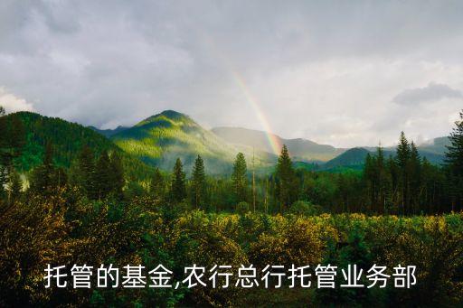 農(nóng)行托管的基金,農(nóng)行總行托管業(yè)務部