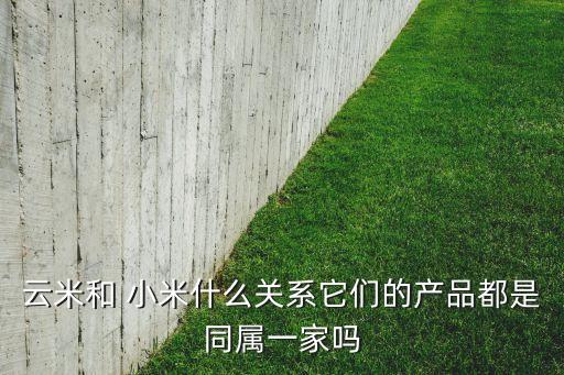 小米投資的租房公司,小米的投資方有哪些