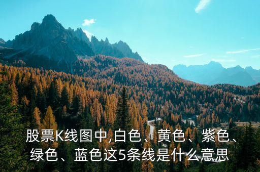  股票K線圖中,白色、黃色、紫色、綠色、藍(lán)色這5條線是什么意思