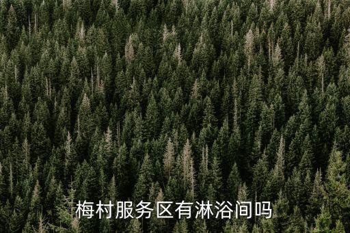 梅村服務區(qū)有淋浴間嗎