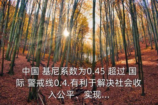 中國(guó) 基尼系數(shù)為0.45 超過(guò) 國(guó)際 警戒線(xiàn)0.4.有利于解決社會(huì)收入公平、實(shí)現(xiàn)...