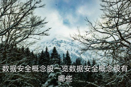 數據安全概念股一覽數據安全概念股有哪些