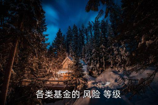 各類(lèi)基金的 風(fēng)險(xiǎn) 等級(jí)