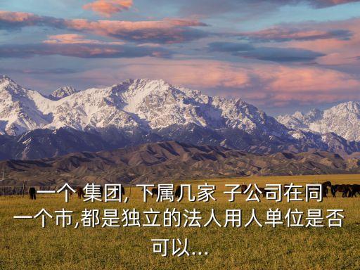集團下屬子公司不當(dāng)行為,中國能源建設(shè)集團下屬子公司