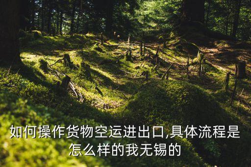 如何操作貨物空運進(jìn)出口,具體流程是怎么樣的我無錫的
