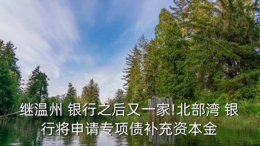 繼溫州 銀行之后又一家!北部灣 銀行將申請(qǐng)專(zhuān)項(xiàng)債補(bǔ)充資本金