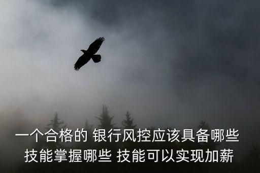 一個合格的 銀行風控應該具備哪些 技能掌握哪些 技能可以實現(xiàn)加薪