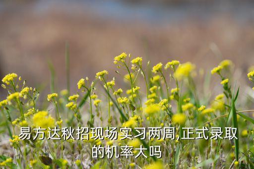 易方達基金會計待遇
