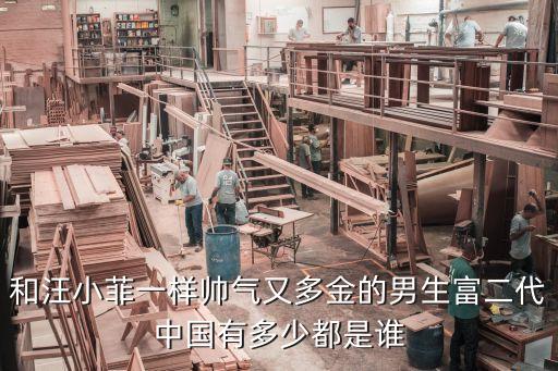 和汪小菲一樣帥氣又多金的男生富二代中國(guó)有多少都是誰(shuí)