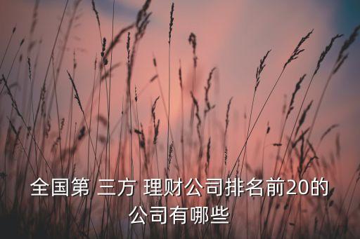 全國第 三方 理財公司排名前20的公司有哪些