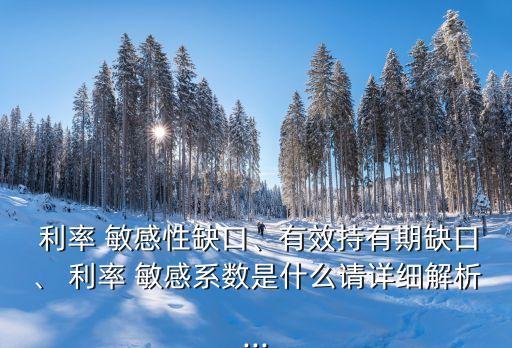  利率 敏感性缺口、有效持有期缺口、 利率 敏感系數(shù)是什么請詳細(xì)解析...
