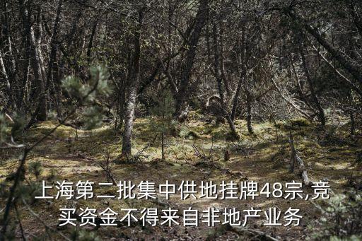  上海第二批集中供地掛牌48宗,競(jìng)買資金不得來(lái)自非地產(chǎn)業(yè)務(wù)