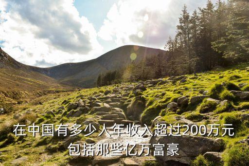 在中國(guó)有多少人年收入超過(guò)200萬(wàn)元包括那些億萬(wàn)富豪