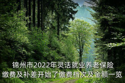  錦州市2022年靈活就業(yè)養(yǎng)老保險繳費及補差開始了繳費檔次及金額一覽