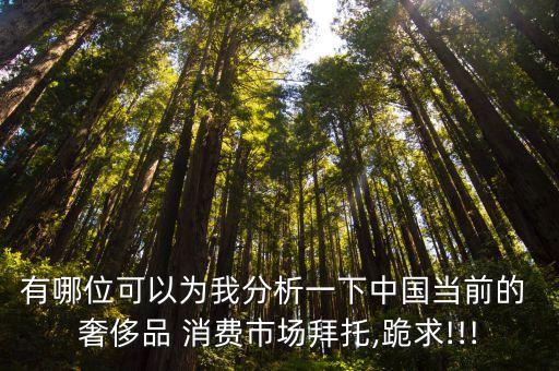 有哪位可以為我分析一下中國當(dāng)前的 奢侈品 消費市場拜托,跪求!!!