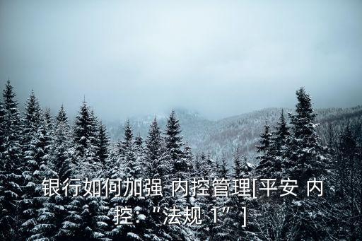  銀行如何加強 內(nèi)控管理[平安 內(nèi)控:“法規(guī) 1”]