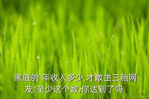  家庭的 年收入多少,才敢生三胎網(wǎng)友:至少這個數(shù),你達到了嗎