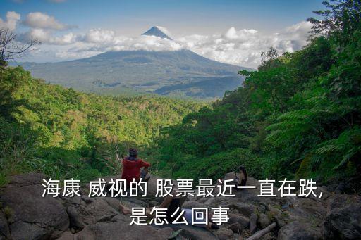  ?？?威視的 股票最近一直在跌,是怎么回事