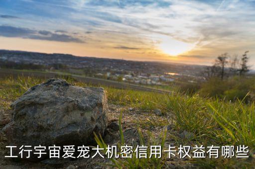 工行宇宙愛寵大機(jī)密信用卡權(quán)益有哪些