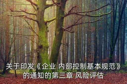 子公司內(nèi)部項(xiàng)目風(fēng)險(xiǎn)評審標(biāo)準(zhǔn)