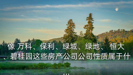 像 萬(wàn)科、保利、綠城、綠地、 恒大、碧桂園這些房產(chǎn)公司公司性質(zhì)屬于什...