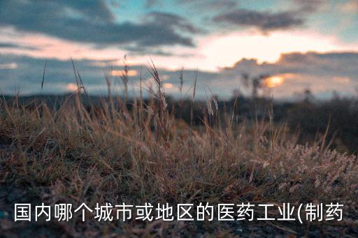 國內(nèi)哪個(gè)城市或地區(qū)的醫(yī)藥工業(yè)(制藥