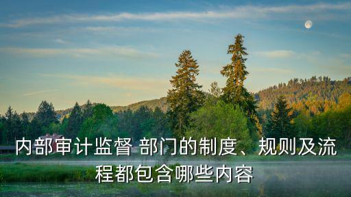 內部審計監(jiān)督 部門的制度、規(guī)則及流程都包含哪些內容