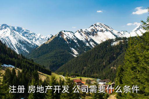 注冊 房地產(chǎn)開發(fā) 公司需要什么條件