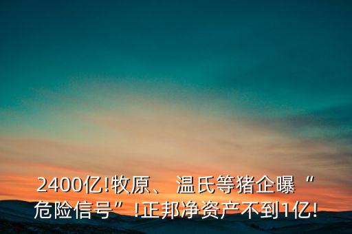 2400億!牧原、 溫氏等豬企曝“危險信號”!正邦凈資產(chǎn)不到1億!