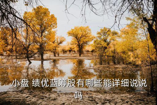  小盤 績(jī)優(yōu)藍(lán)籌股有哪些能詳細(xì)說(shuō)說(shuō)嗎