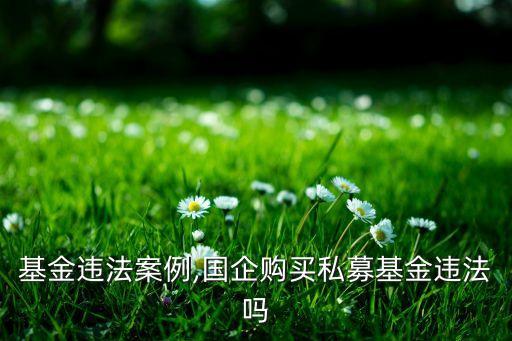 私募基金違法案例,國(guó)企購(gòu)買(mǎi)私募基金違法嗎
