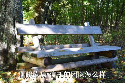 國投泰康 信托的團(tuán)隊(duì)怎么樣