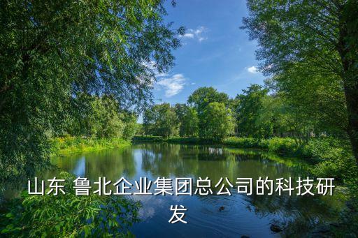  山東 魯北企業(yè)集團(tuán)總公司的科技研發(fā)