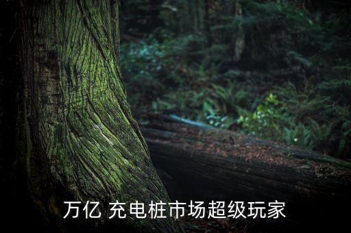 萬億 充電樁市場(chǎng)超級(jí)玩家