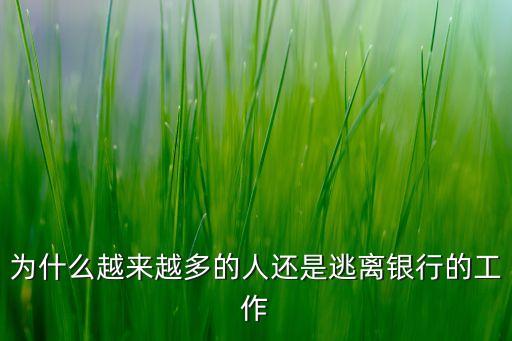 張旭陽(yáng)光大銀行,光大銀行張旭陽(yáng)簡(jiǎn)歷出生日期