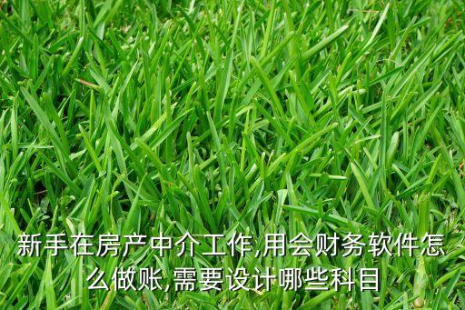 新手在房產中介工作,用會財務軟件怎么做賬,需要設計哪些科目
