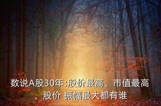 數(shù)說A股30年:股價最高、市值最高、股價 振幅最大都有誰